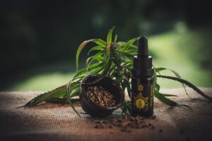 酵素青汁とCBDでリラックスする方法は？