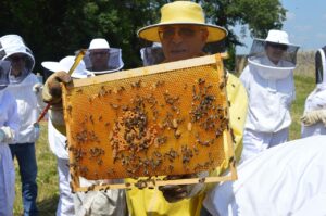 酵素青汁とプロテインの置き換えに関する比較は？