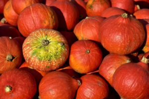 酵素青汁の栄養成分はどれくらい効果的なのか？