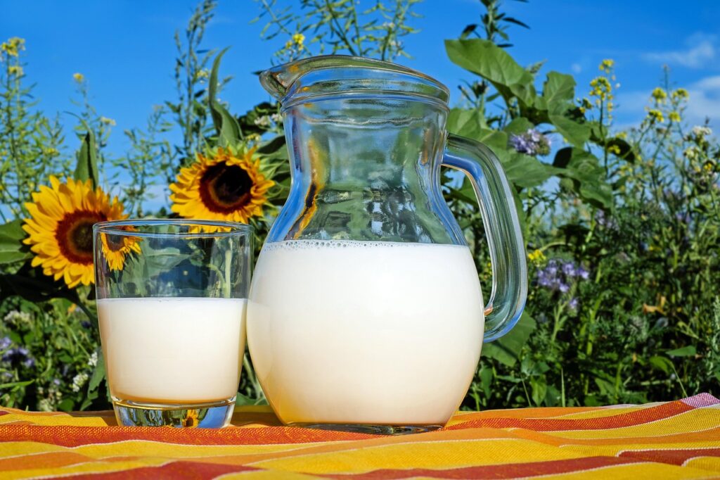 酵素青汁を牛乳で割るとどんな味になるの？